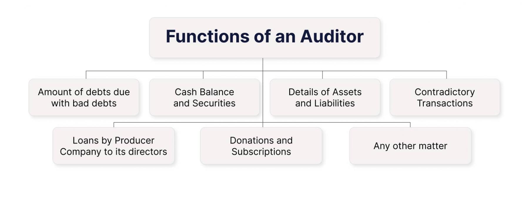 Functions of an Auditor